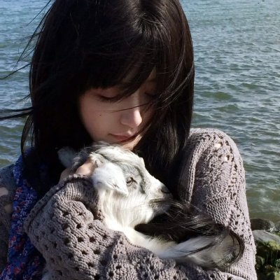 猎赝