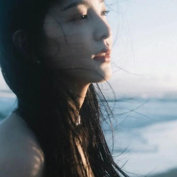 将军家的小儿子