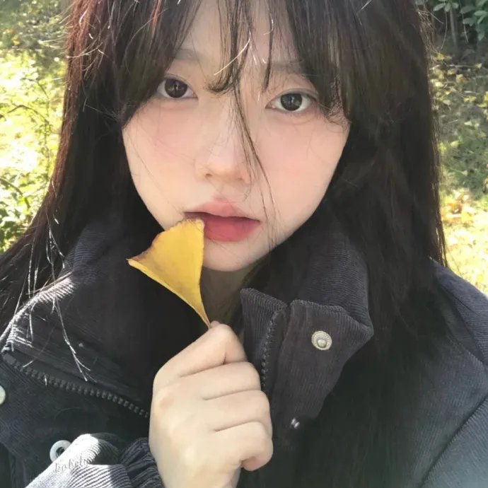 龙城谜案